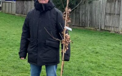 Celebrating retirement with an Oak Tree for the Applegarth